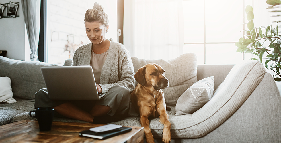 woman-and-dog-sofa-laptop