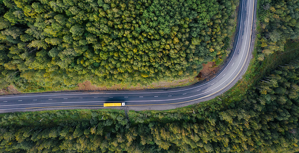 truck-street-forest