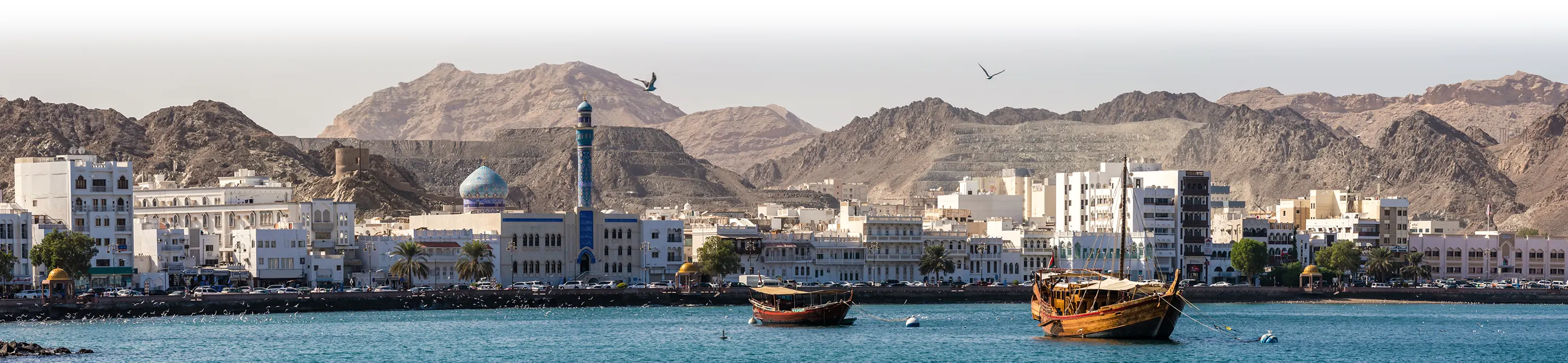 DE_destinations_oman_banner